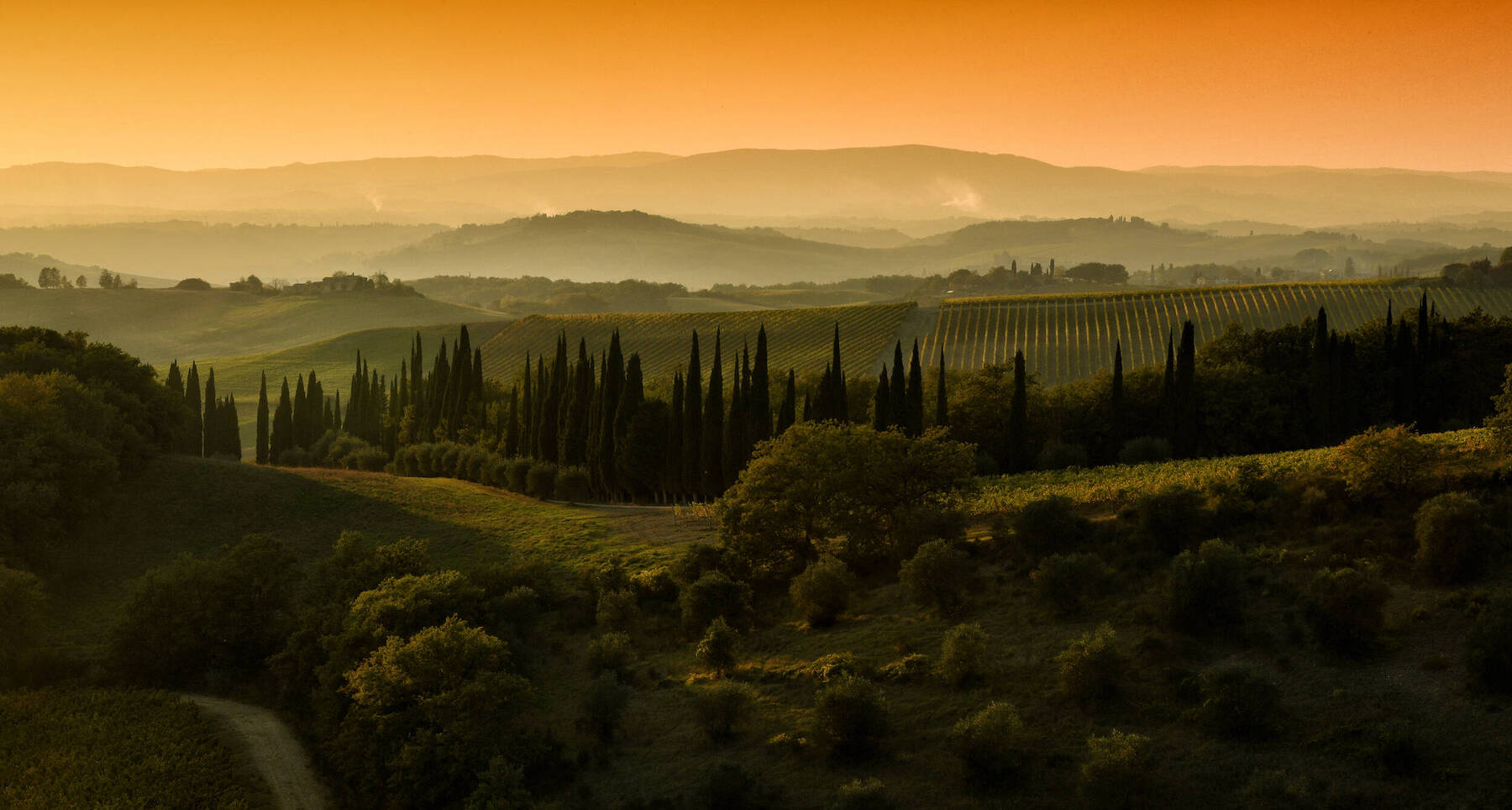 Exploring Italy’s most beautiful vineyards